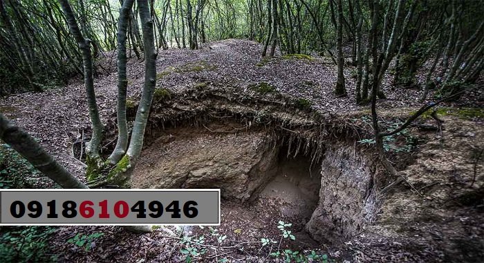 نشانه‌های دفینه در کنار درخت کهنسال