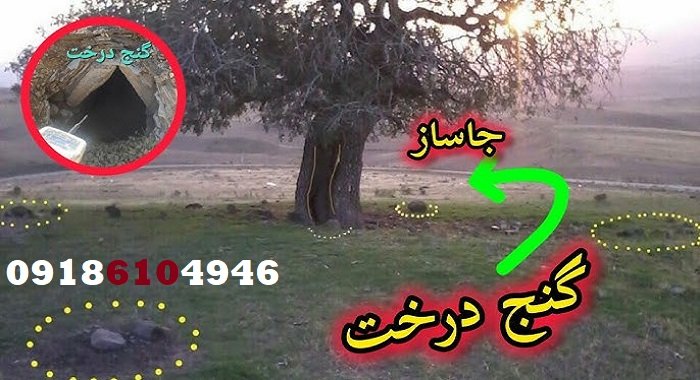 نشانه‌های دفینه در کنار درخت کهنسال