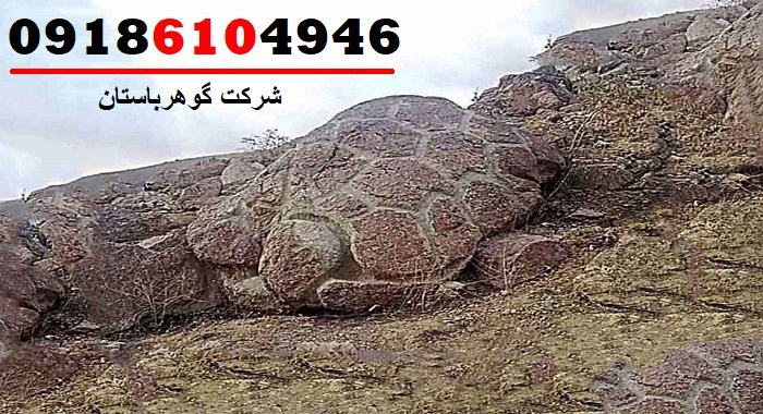 علامت لاک‌پشت در گنج‌یابی