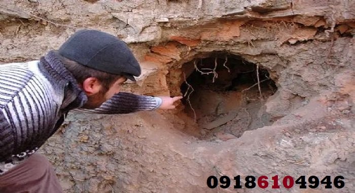 چگونه نمادهای گنج را تفسیر کنیم