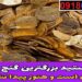 بزرگترین گنج ایران و جهان در ایران که هنوز پیدا نشده
