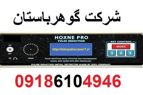 خرید فلزیاب Hoxne Pro