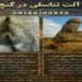 نشانه آلت تناسلی مرد و زن در دفینه یابی