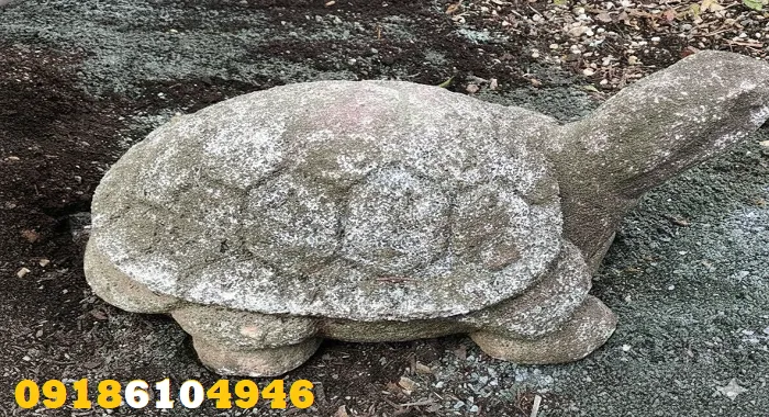 علامت لاکپشت در گنجیابی