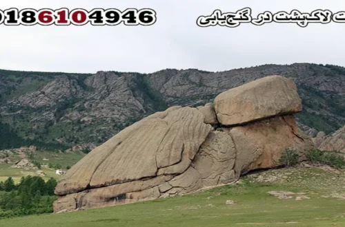 علامت لاکپشت در گنجیابی