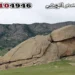 علامت لاک‌پشت در گنج‌یابی