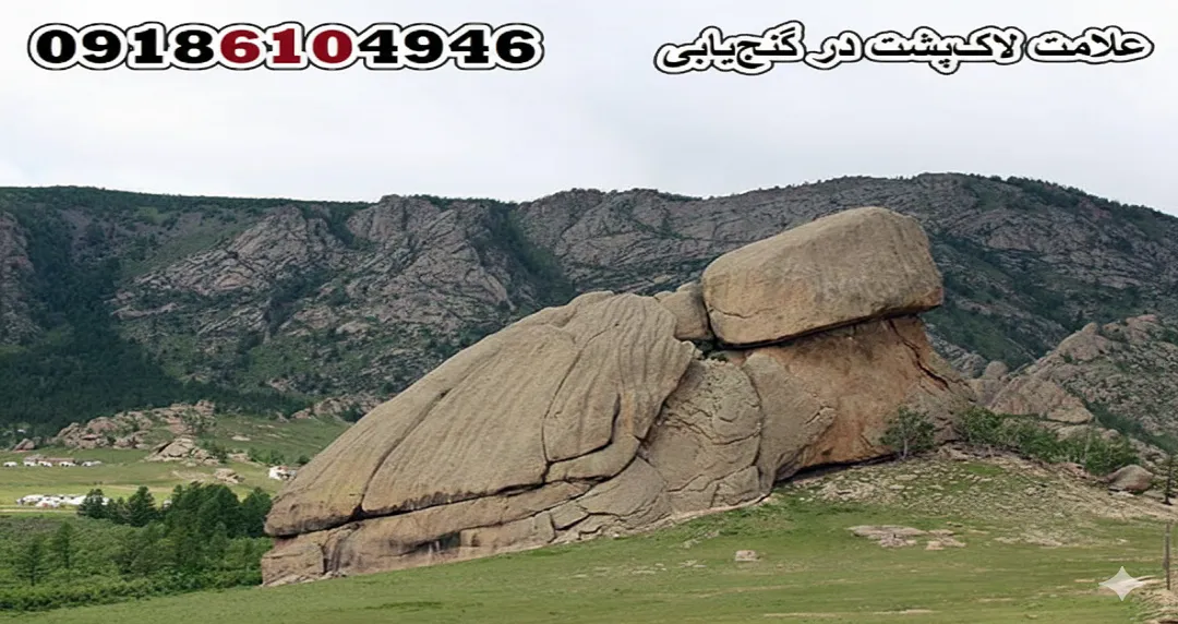 علامت لاک‌پشت در گنج‌یابی