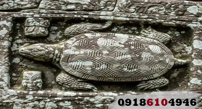 علامت لاکپشت در گنجیابی