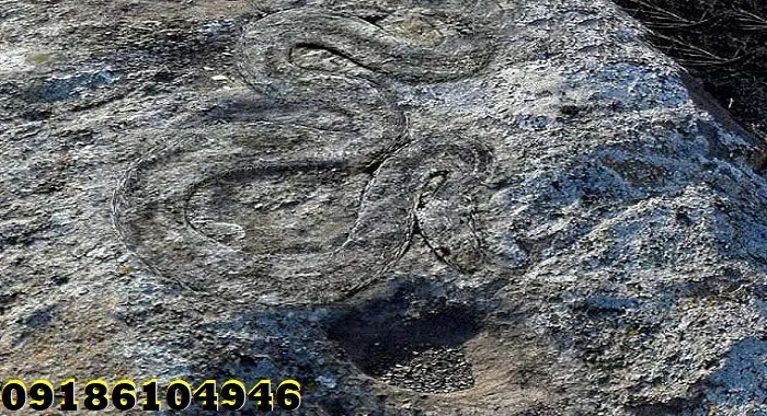 بهترین نشانه برای یافتن دفینه کدام است؟