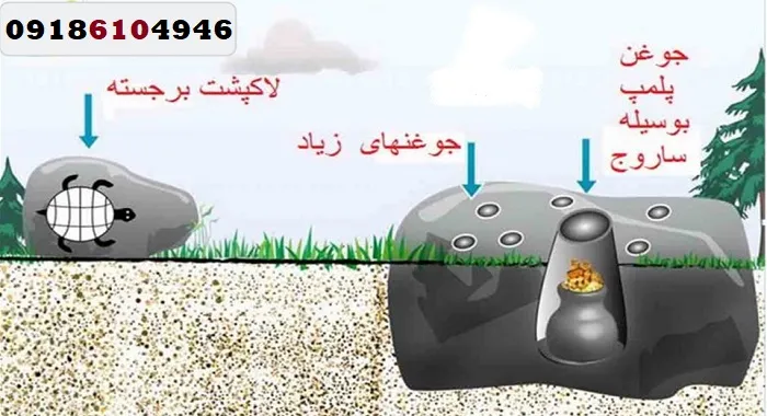 چگونه نشانههای دفینه را تفسیر کنیم؟