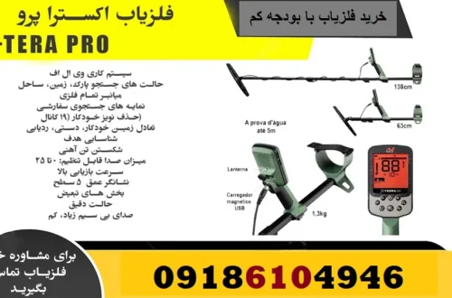 خرید فلزیاب با بودجه کم