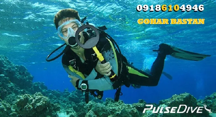 بررسی پین پوینتر پالس دایو