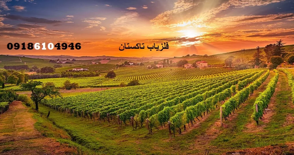 فلزیاب تاکستان