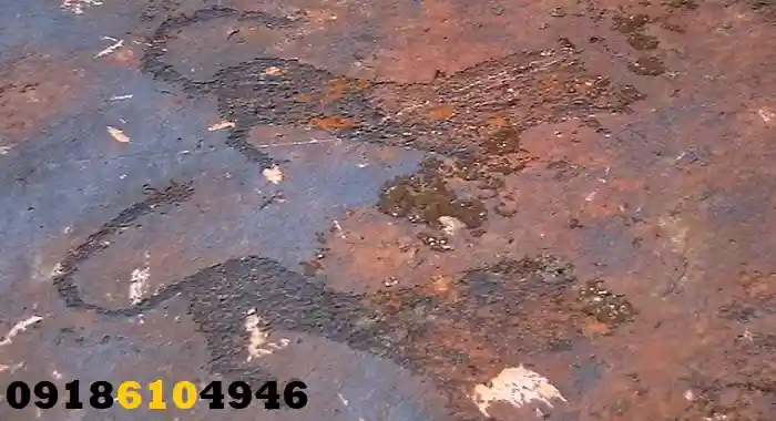 نماد پلنگ در دفینهیابی