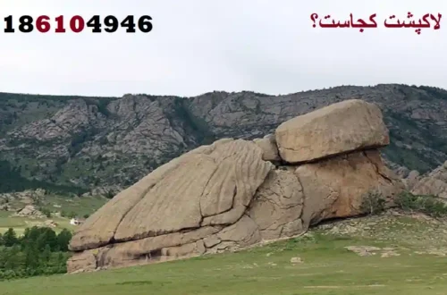 دفینه لاکپشت کجاست؟