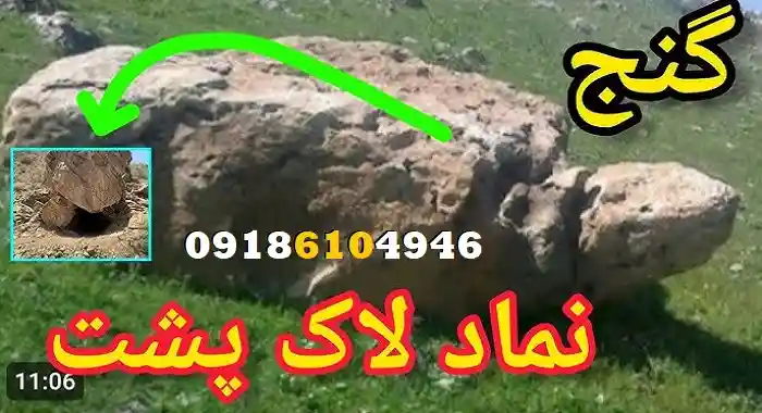 فاصله لاکپشت تا دفینه