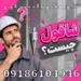 شاقول چیست؟ بررسی کامل کاربرد، انواع و تفاوت شاقول با فلزیاب