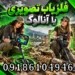 فلزیاب تصویری یا آنالوگ؛ کدام برای کاوش حرفه‌ای بهتر است؟